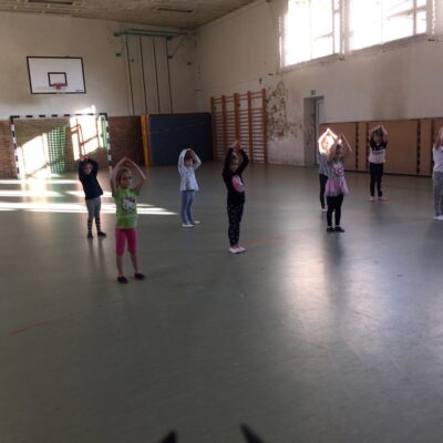 Die Minis sind zwischen 5-7 Jahre alt.